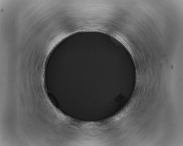 X0000089351093200707061018