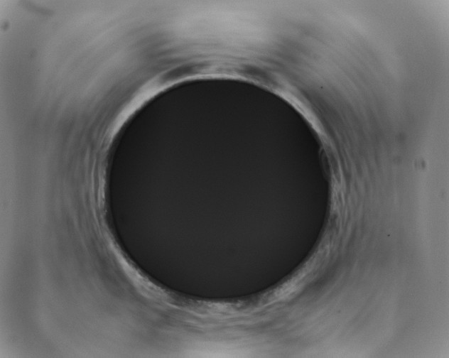 X0000089351101200707061018