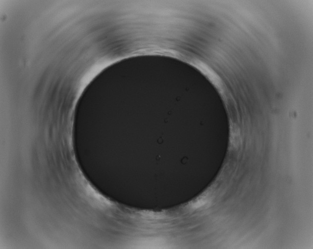 X0000089351102200707061018