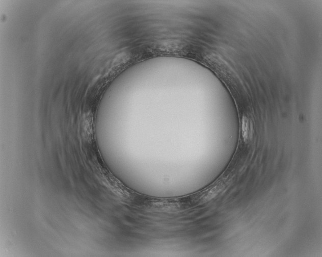 X0000089351107200707061017