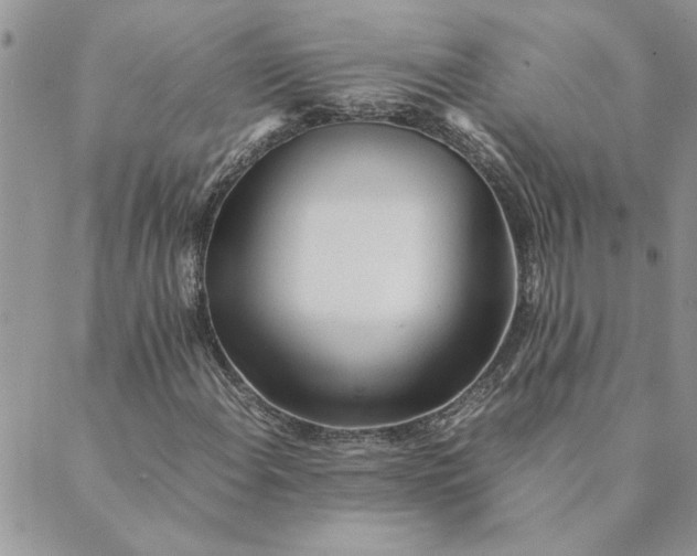 X0000089351108200707061017