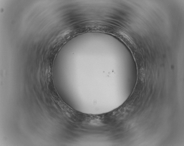 X0000089351111200707061017