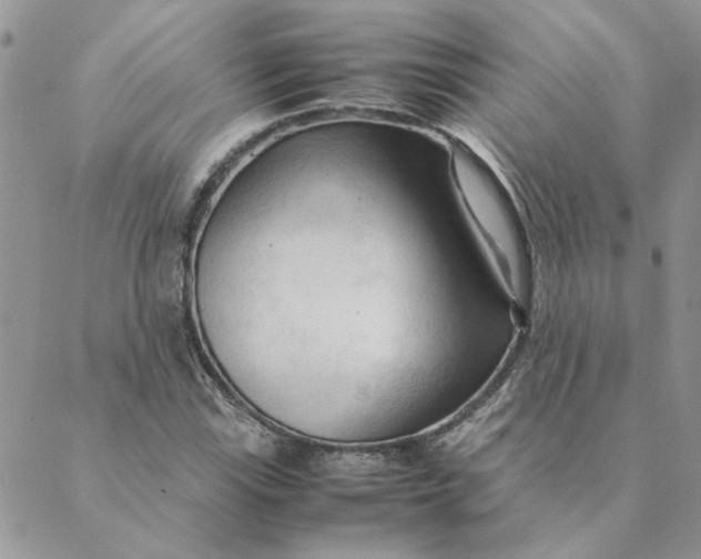 X0000089351115200707061017