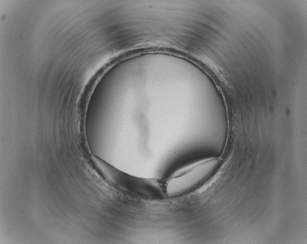 X0000089351118200707061018