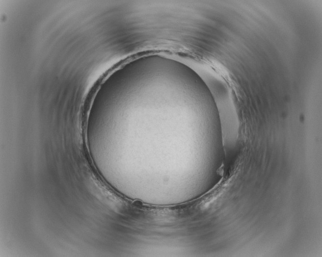 X0000089351120200707061018