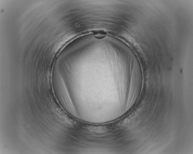 X0000089351121200707061018