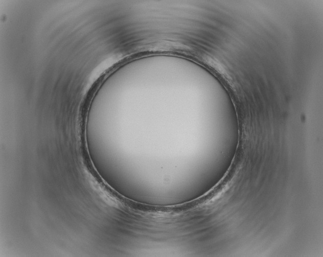 X0000089351122200707061018