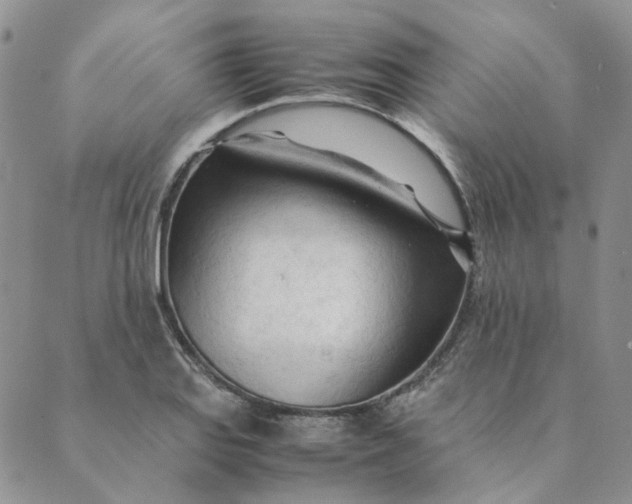 X0000089351127200707061018