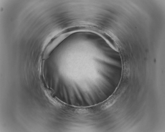 X0000089351128200707061018