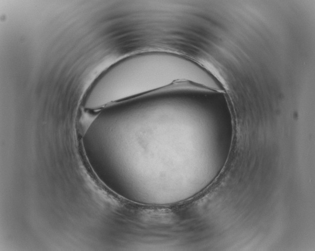 X0000089351133200707061018