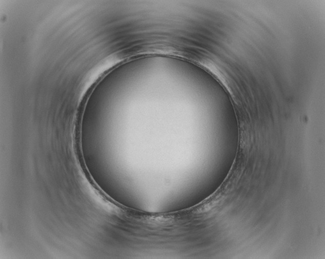 X0000089351139200707061018