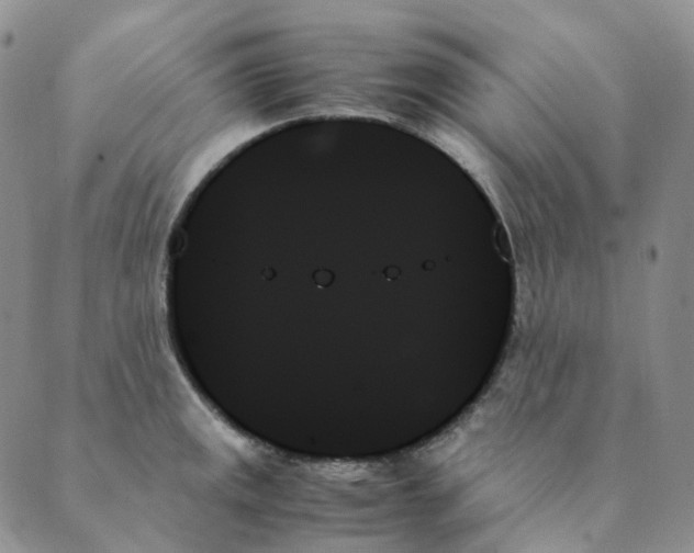 X0000089351141200707061018