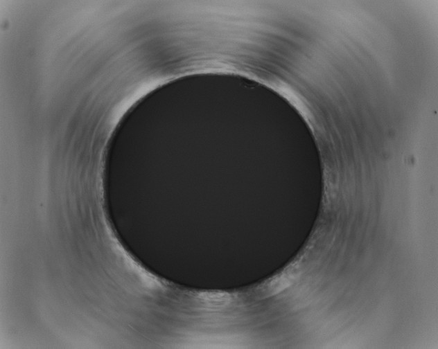 X0000089351142200707061018