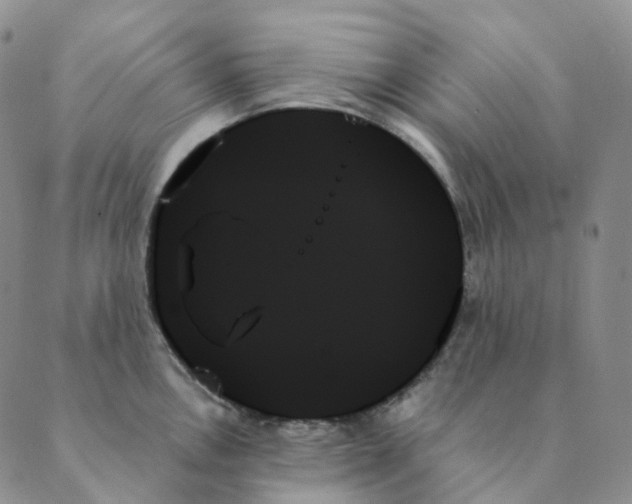 X0000089351146200707061018