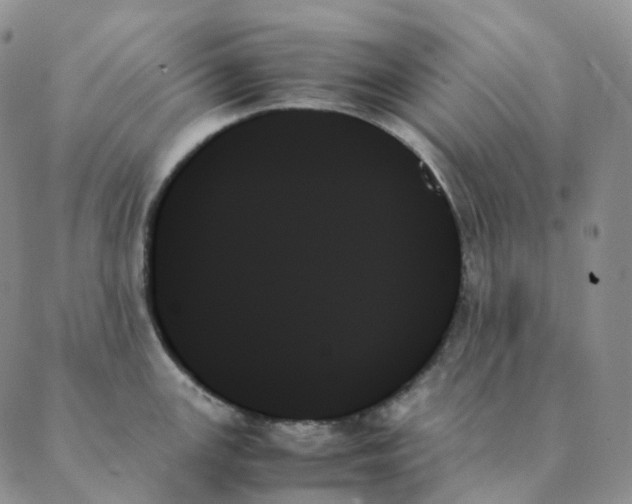 X0000089351147200707061018