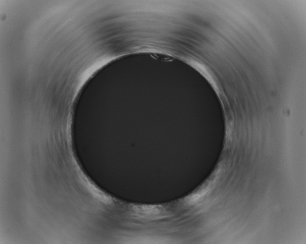 X0000089351149200707061018