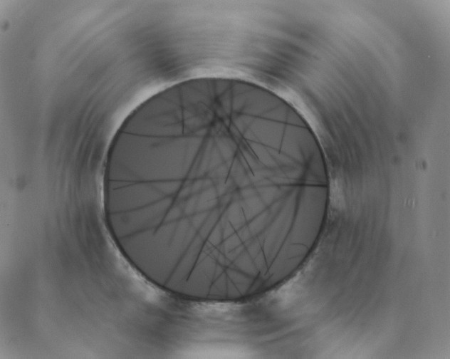 X0000089351150200707061018