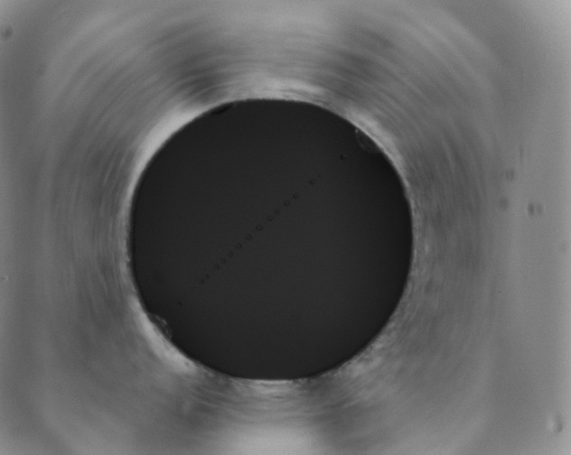 X0000089351152200707061018