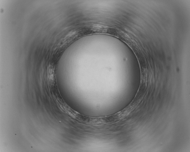 X0000089351154200707061017