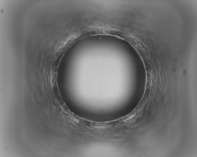 X0000089351157200707061017