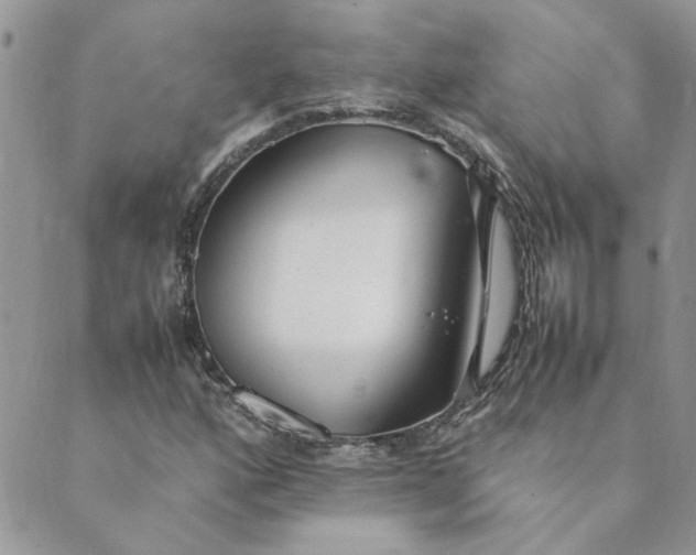 X0000089351160200707061017