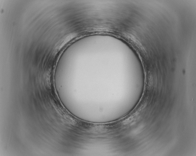 X0000089351162200707061017