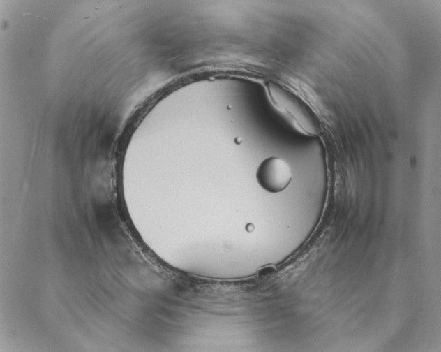 X0000089351164200707061017