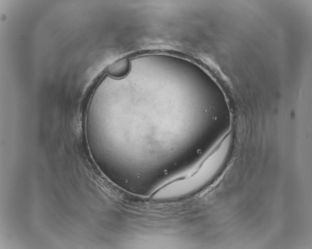 X0000089351167200707061017