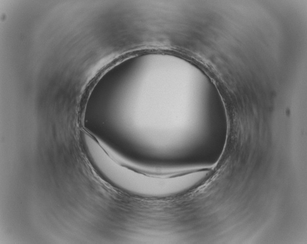 X0000089351168200707061017