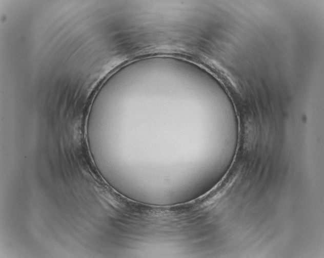 X0000089351170200707061017