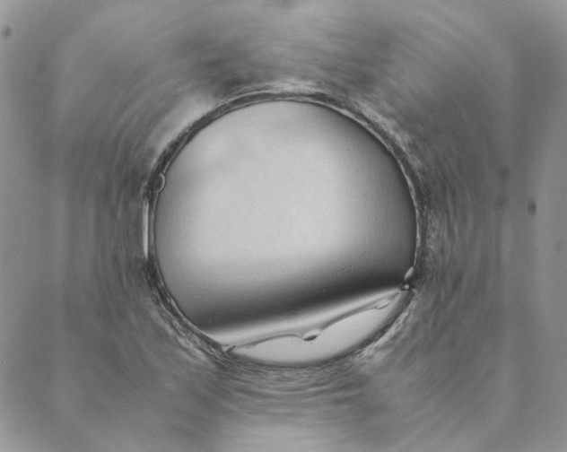 X0000089351171200707061017