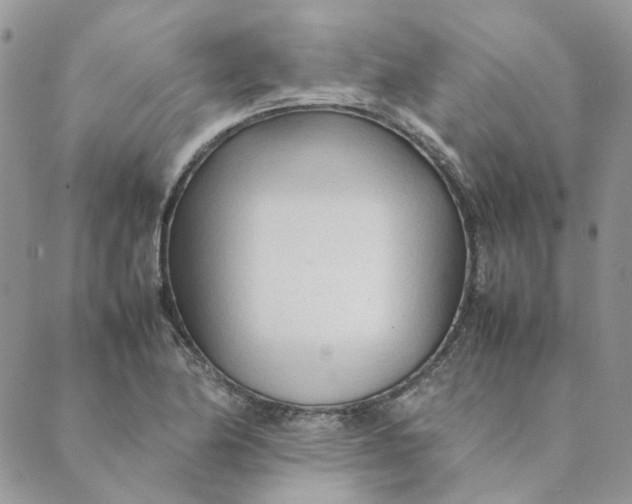 X0000089351174200707061017