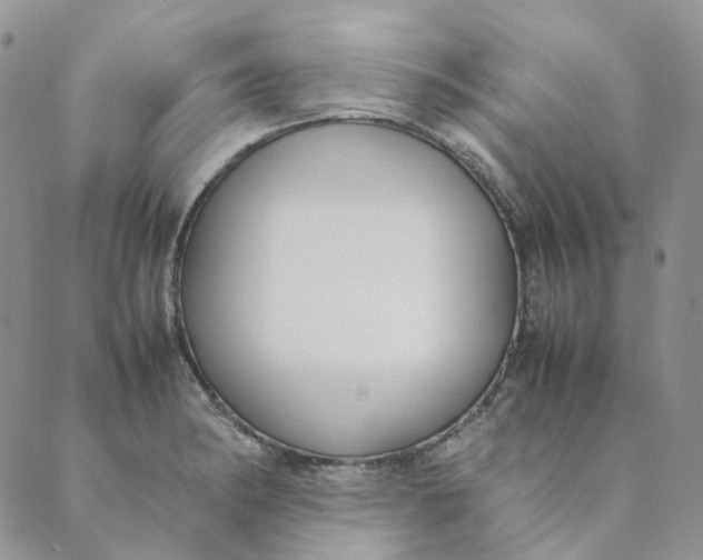 X0000089351182200707061017