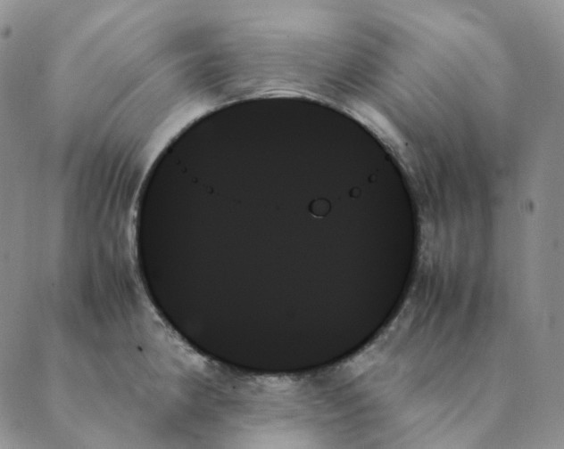 X0000089351190200707061017