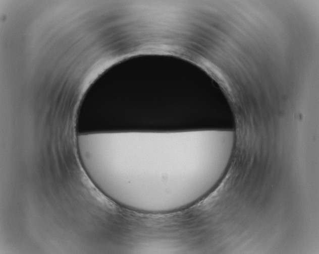 X0000089351192200707061017