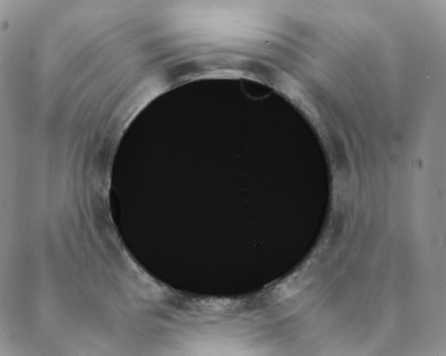 X0000089351193200707061017