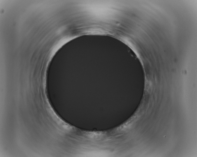 X0000089351195200707061017