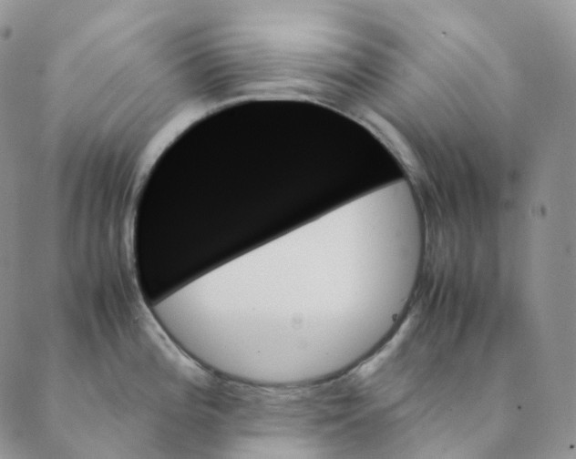 X0000089351196200707061017