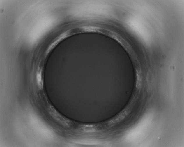 X0000089351198200707061017