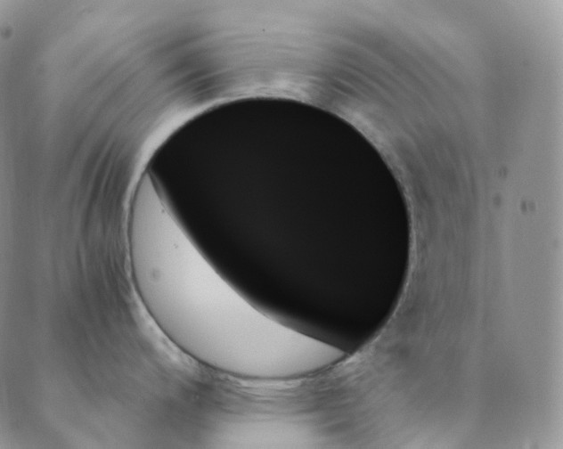 X0000089351200200707061017