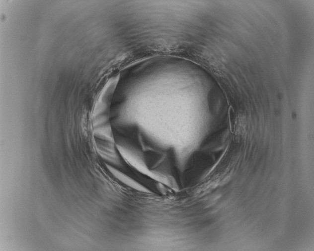 X0000089351202200707061016