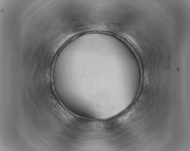 X0000089351212200707061016