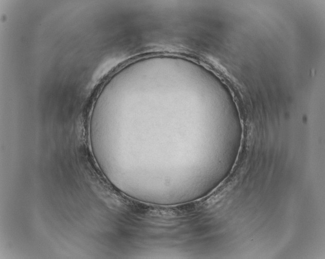 X0000089351215200707061016