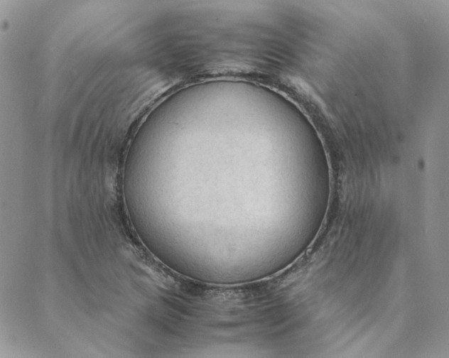 X0000089351217200707061016
