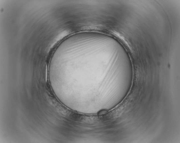 X0000089351219200707061016