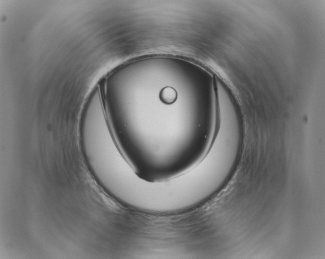 X0000089351230200707061016