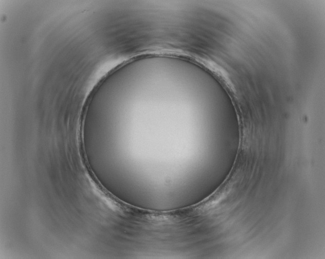 X0000089351231200707061016