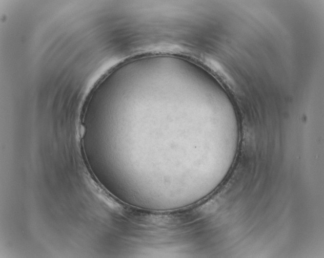 X0000089351232200707061016