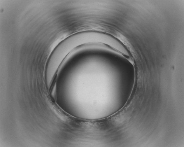 X0000089351234200707061016