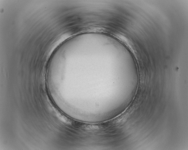X0000089351235200707061016